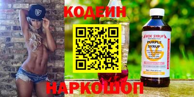 apvp Кингисепп