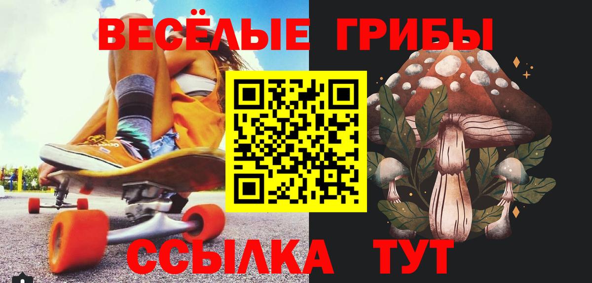 Галлюциногенные грибы GOLDEN TEACHER Кинель