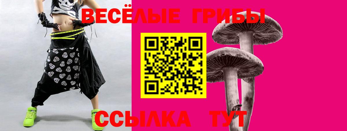 Кинель  Галлюциногенные грибы Magic Shrooms  Вход с VPN 