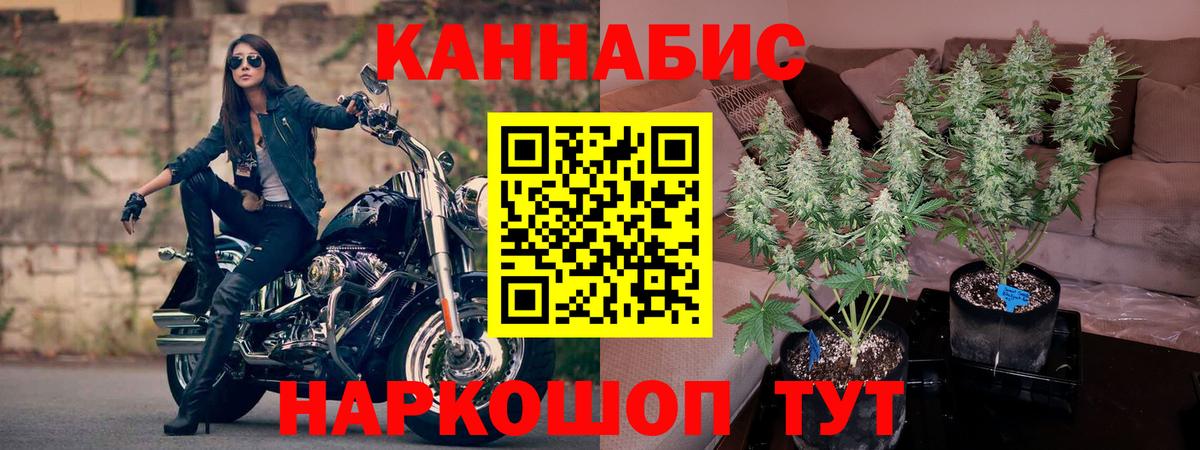 Шишки марихуана планчик Кинель